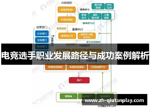 电竞选手职业发展路径与成功案例解析